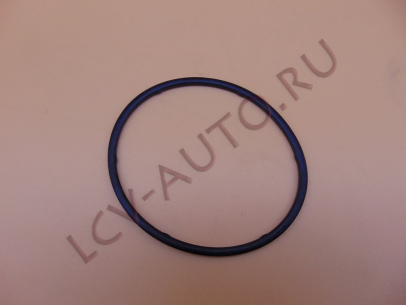 Кольцо уплотнительное топливного фильтра - PEUGEOT-CITROEN (артикул: 1907.08)