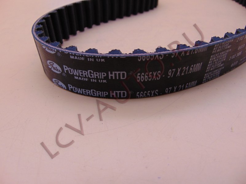 Ремень ГPМ - GATES (артикул: 5665XS)