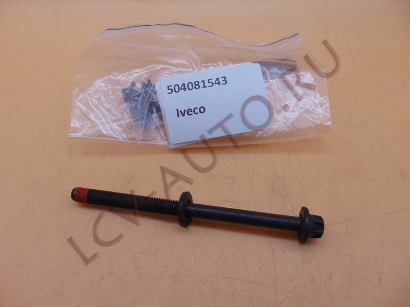 Болт ГБЦ М8*1,25 3.0 IVECO (4 шт на ДВС) - IVECO (артикул: 504081543)