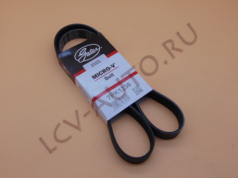 Ремень 7PK1236 - GATES (артикул: 7PK1236)